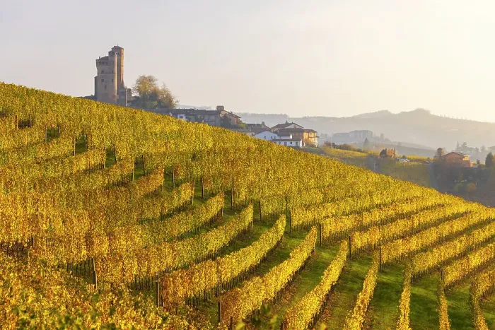 Framed Print : Serralunga D‚AoAlba and its castle with vineyards at sunset during autumn, Cuneo, Langhe and Roero, Piedmont, Italy Framed Print : Serralunga D‚AoAlba and its castle with vineyards at sunset during autumn, Cuneo, Langhe and Roero, Piedmont, Italy