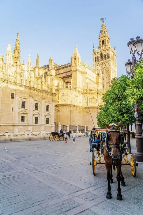 Framed Print : Seville Cathedral, Seville, Andalusia, Spain Framed Print : Seville Cathedral, Seville, Andalusia, Spain