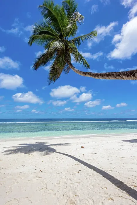 Framed Print : Seychelles, Mahe, Anse Parnel beach, Indian Ocean Framed Print : Seychelles, Mahe, Anse Parnel beach, Indian Ocean