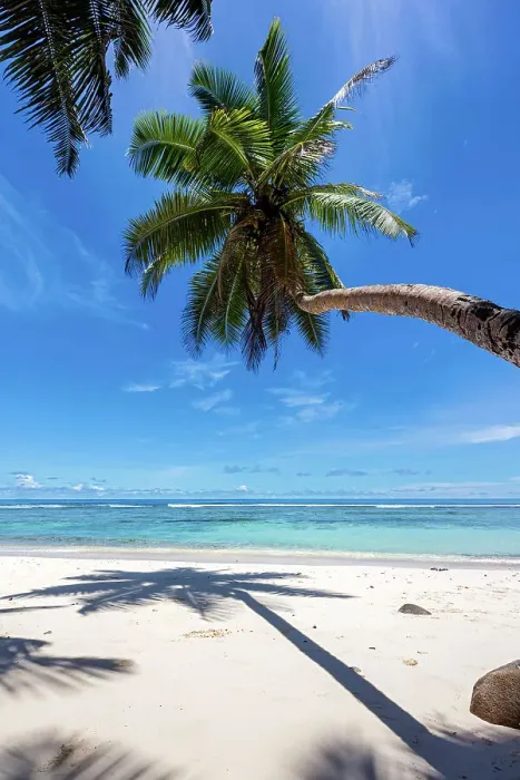 Framed Print : Seychelles, Mahe, Anse Parnel beach, Indian Ocean Framed Print : Seychelles, Mahe, Anse Parnel beach, Indian Ocean