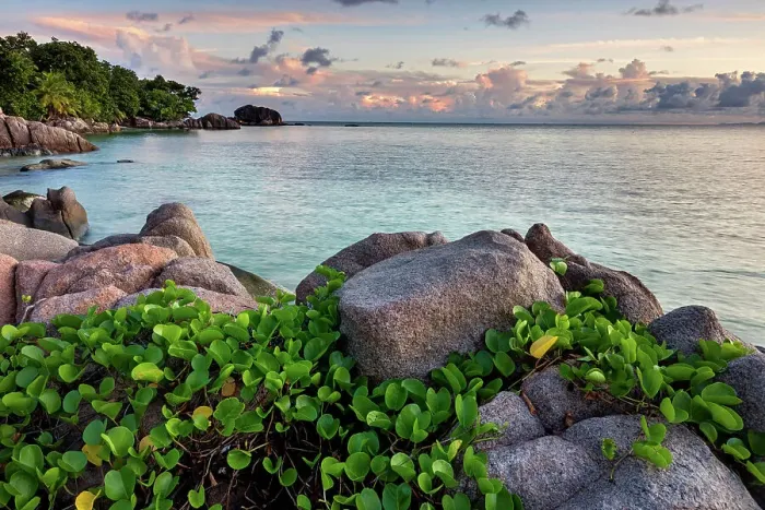 Framed Print : Seychelles, Praslin, Anse Citron beach, Indian Ocean