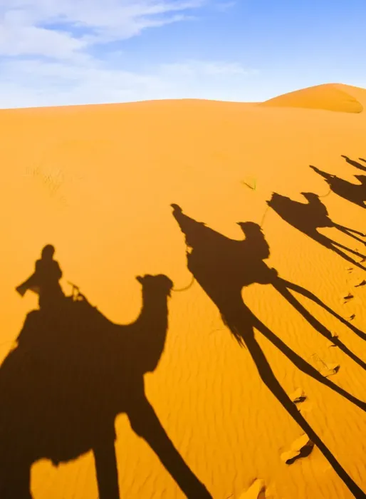 Framed Print : Shadows of riders and camels in Sahara desert, Erg Chebbi, Morocco