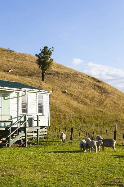 Shearers Accommodation, Tologa Bay, East Cape, North Island, New Zealand