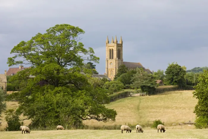 Framed Print : Sheep grazing in fields below St Michaels Church in the Cotswolds village of Broadway Framed Print : Sheep grazing in fields below St Michaels Church in the Cotswolds village of Broadway