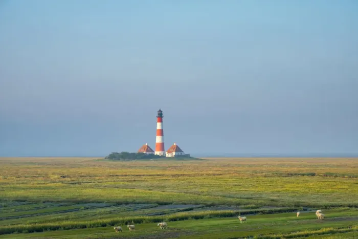 Framed Print : Sheep grazing in front of Westerhever Lighthouse, built in 1906, Westerhever
