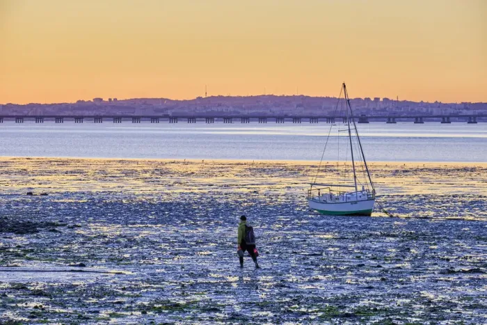Framed Print : A shellfisherman walks in low tide along the Tagus river. Alcochete, Portugal Framed Print : A shellfisherman walks in low tide along the Tagus river. Alcochete, Portugal