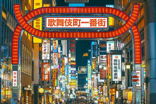 Shinjuku, Tokyo, Kanto region, Japan. Neon signs illuminated at night in Kabukicho