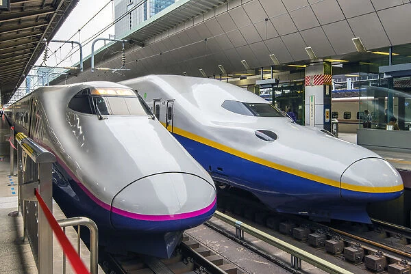 Shinkansen high speed trains, Tokyo railway station, Tokyo, Japan