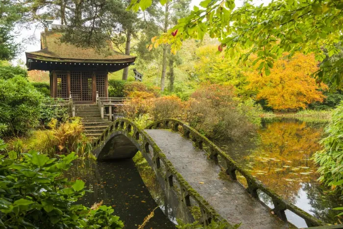 Framed Print : Shinto Shrine & Bridge, Tatton Park, Cheshire, England Framed Print : Shinto Shrine & Bridge, Tatton Park, Cheshire, England