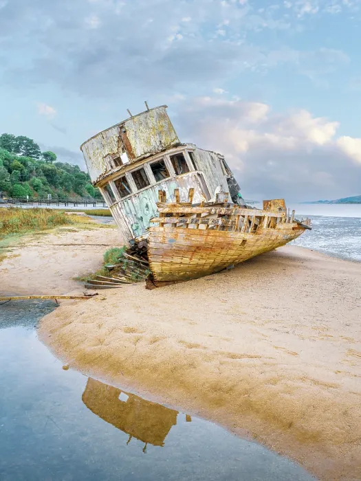 Framed Print : Ship Wreck, Point Reyes National Seashore, Pacific Coast of Marin County Inverness, California, USA Framed Print : Ship Wreck, Point Reyes National Seashore, Pacific Coast of Marin County Inverness, California, USA