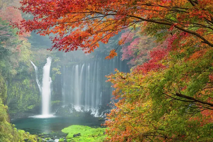 Framed Print : Shiraito Falls in Autumn, Fujinomiya, Shizuoka Prefecture, Japan