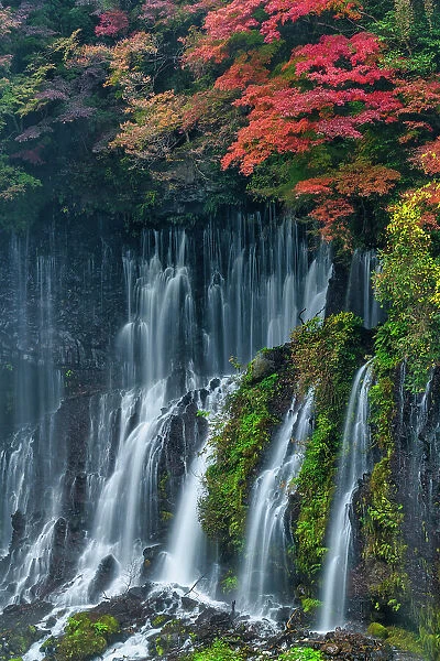 Shiraito Falls in Autumn, Fujinomiya, Shizuoka Prefecture, Japan