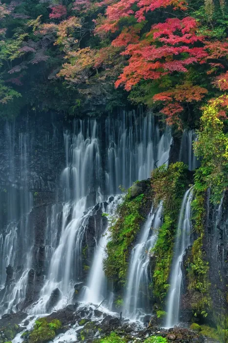 Framed Print : Shiraito Falls in Autumn, Fujinomiya, Shizuoka Prefecture, Japan Framed Print : Shiraito Falls in Autumn, Fujinomiya, Shizuoka Prefecture, Japan