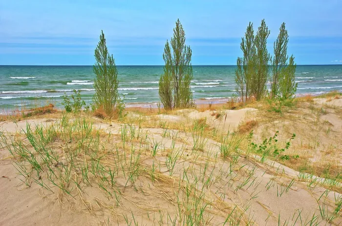 Framed Print : Shoreline of Lake Huron Pinery Provincial Park, Ontario, Canada Framed Print : Shoreline of Lake Huron Pinery Provincial Park, Ontario, Canada