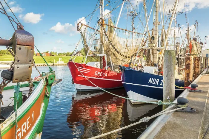 Framed Print : Shrimp boats in the harbor of Greetsiel, East Frisia, Lower Saxony, Germany Framed Print : Shrimp boats in the harbor of Greetsiel, East Frisia, Lower Saxony, Germany