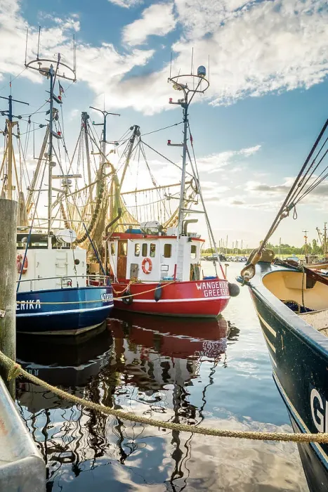 Framed Print : Shrimp boats in the harbor of Greetsiel at sunrise, East Frisia, Lower Saxony, Germany Framed Print : Shrimp boats in the harbor of Greetsiel at sunrise, East Frisia, Lower Saxony, Germany