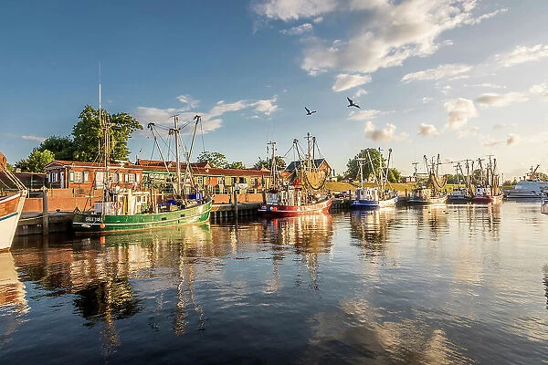 Shrimp boats in the harbor of Greetsiel at sunrise, East Frisia, Lower Saxony, Germany