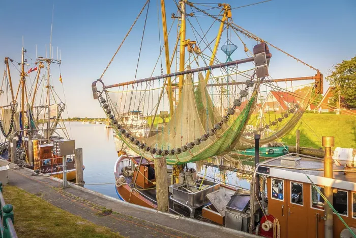 Framed Print : Shrimp boats in the harbor of Greetsiel at sunset, East Frisia, Lower Saxony, Germany Framed Print : Shrimp boats in the harbor of Greetsiel at sunset, East Frisia, Lower Saxony, Germany
