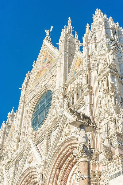 Siena, Tuscany, Italy, Europe. Siena Cathedral facade