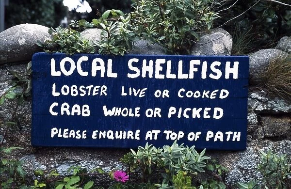 A sign advertising local shellfish in Bryher