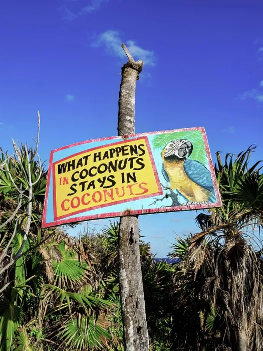 Framed Print : Sign at Coconuts Bar, Cozumel Island, Quintana Roo State, Mexico Framed Print : Sign at Coconuts Bar, Cozumel Island, Quintana Roo State, Mexico