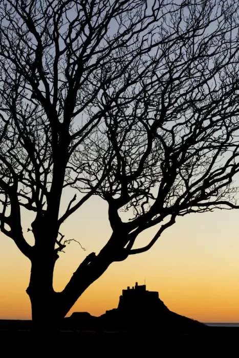 Framed Print : Silhouette of Lindisfarne Northumberland, England