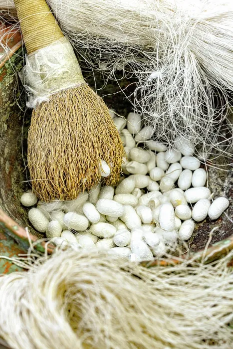 Framed Print : Silkworm cocoons for carpet making, Avanos, Cappadocia, Nevsehir Province, Central Anatolia, Turkey Framed Print : Silkworm cocoons for carpet making, Avanos, Cappadocia, Nevsehir Province, Central Anatolia, Turkey