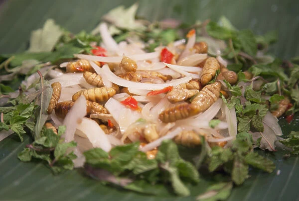 Silkworm salad, Hoi An (UNESCO World Heritage Site), Quang Ham, Vietnam