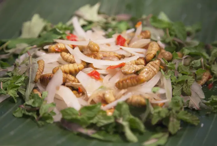 Framed Print : Silkworm salad, Hoi An (UNESCO World Heritage Site), Quang Ham, Vietnam Framed Print : Silkworm salad, Hoi An (UNESCO World Heritage Site), Quang Ham, Vietnam