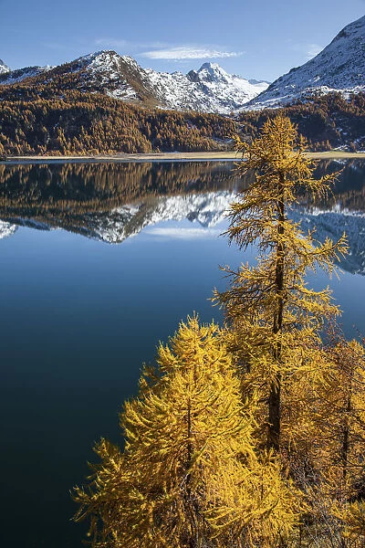 Sils lake, Engiadine, Graubunden, Switzerland