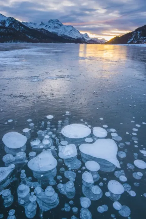 Framed Print : Silvaplana, Engadine valley, Switzerland. Frozen bubbles in the Lake Silvaplana Framed Print : Silvaplana, Engadine valley, Switzerland. Frozen bubbles in the Lake Silvaplana