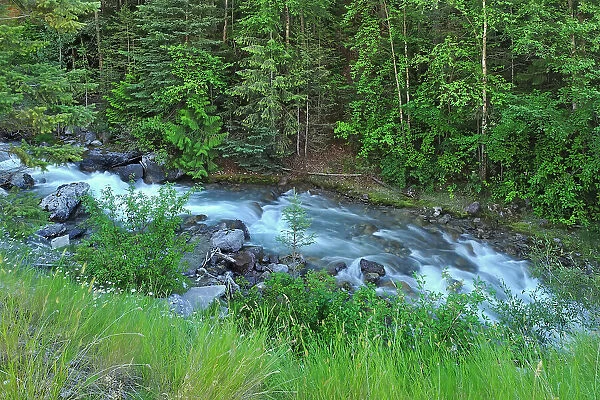 Sinclair Creek flowing into Sinclair Canyon, Kootenay National Park, British Columbia, Canada