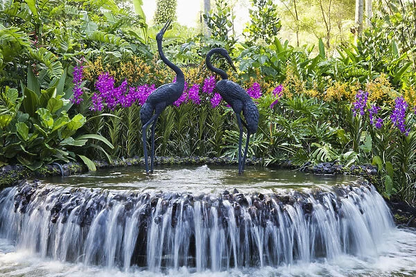 Singapore, Botanic Gardens, Orchid Gardens