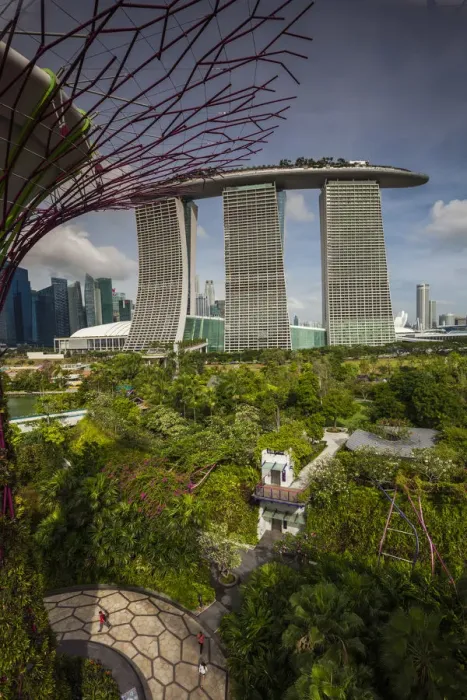 Framed Print : Singapore, Gardens By The Bay, Super Tree Grove, elevated walkway view with the Marina Framed Print : Singapore, Gardens By The Bay, Super Tree Grove, elevated walkway view with the Marina