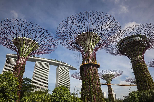 Singapore, Gardens By The Bay, Super Tree Grove and Marina Bay Sands Hotel, daytime