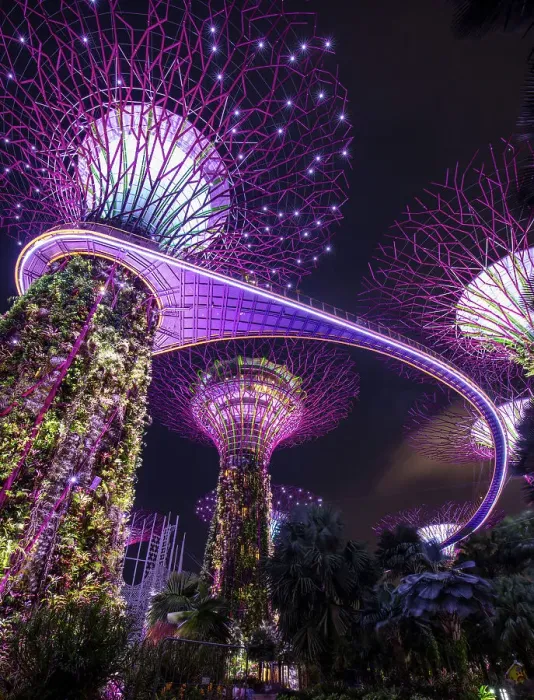 Framed Print : Singapore, Singapore City, Gardens by the Bay, Supertrees, & Marina Bay Sands Framed Print : Singapore, Singapore City, Gardens by the Bay, Supertrees, & Marina Bay Sands