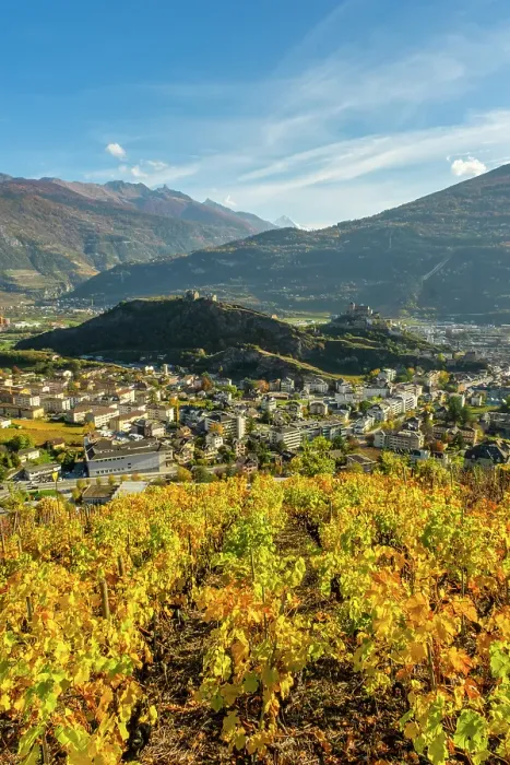 Framed Print : Sion and surrounding vineyards, Rhone Valley, Valais, Switzerland Framed Print : Sion and surrounding vineyards, Rhone Valley, Valais, Switzerland