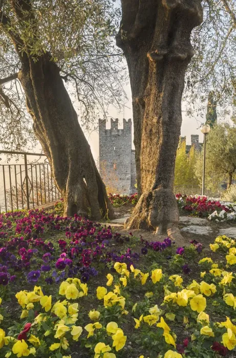 Framed Print : Sirmione, Garda Lake, Province of Brescia, Italy Framed Print : Sirmione, Garda Lake, Province of Brescia, Italy