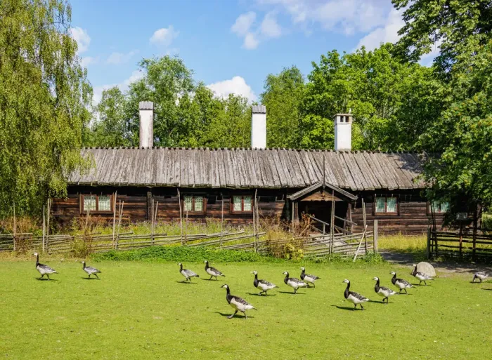 Framed Print : Skansen open air museum, Stockholm, Stockholm County, Sweden Framed Print : Skansen open air museum, Stockholm, Stockholm County, Sweden
