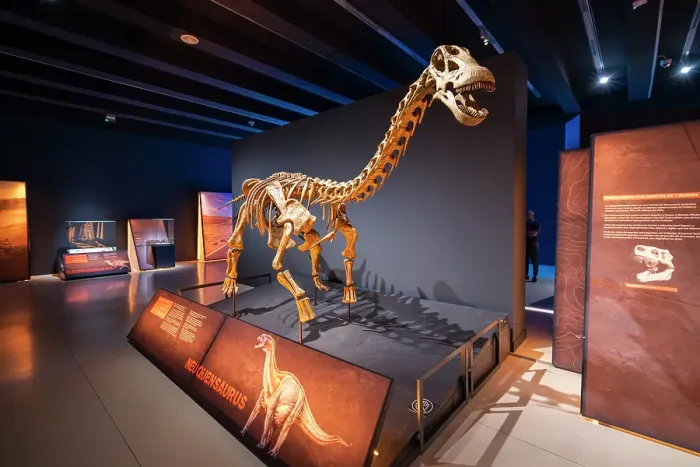 Framed Print : Skeleton of Neuquensaurus dinosaur at exhibition in CaixaForum Madrid in Paseo del Prado, Madrid, Spain