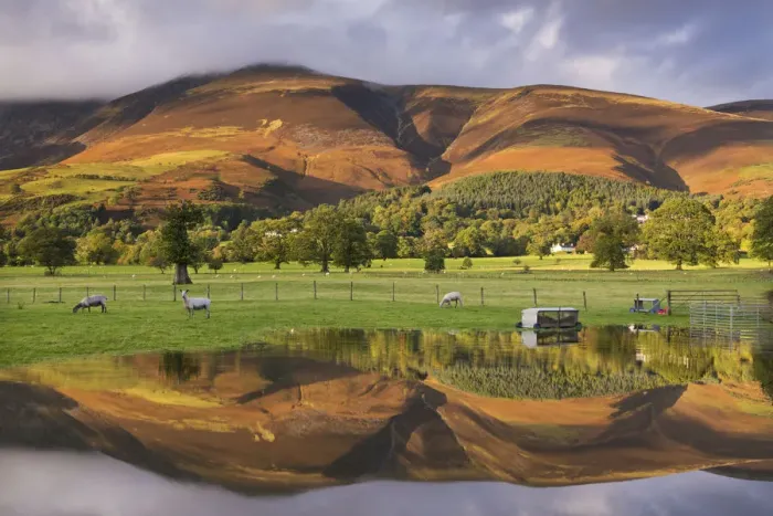Framed Print : Skiddaw mountain illuminated in golden sunlight, reflected in a flooded field, Keswick Framed Print : Skiddaw mountain illuminated in golden sunlight, reflected in a flooded field, Keswick