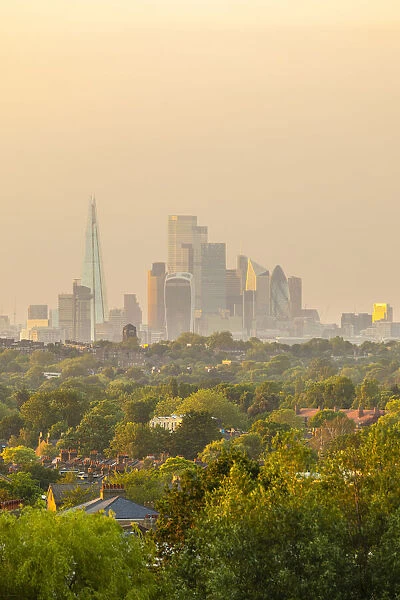 Skyline of City of London from Crystal Palace, London, England, UK