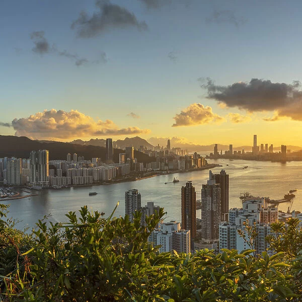Skyline of Hong Kong Island and Kowloon at sunset, Hong Kong