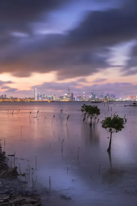 Framed Print : Skyline of Shekou, Shenzhen from Lau Fau Shan at sunset, Hong Kong Framed Print : Skyline of Shekou, Shenzhen from Lau Fau Shan at sunset, Hong Kong