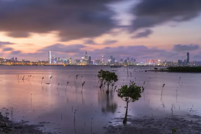 Framed Print : Skyline of Shekou, Shenzhen from Lau Fau Shan at sunset, Hong Kong Framed Print : Skyline of Shekou, Shenzhen from Lau Fau Shan at sunset, Hong Kong