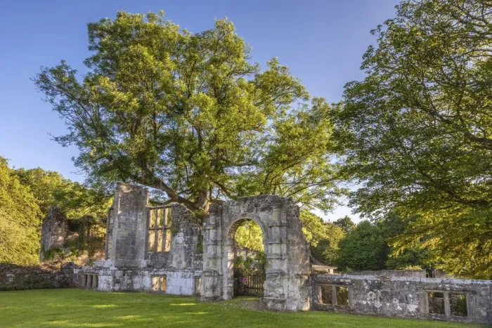 Framed Print : Slaugham Abbey Ruin, West Sussex, England Framed Print : Slaugham Abbey Ruin, West Sussex, England