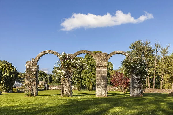 Slaugham Abbey Ruin, West Sussex, England