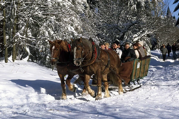 sleigh, Oberhof, Turingia, Germany
