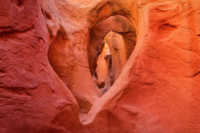 Framed Print : Slot canyon at Dry Fork Coyote Gulch in Grand Staircase-Escalante National Monument, Utah, USA Framed Print : Slot canyon at Dry Fork Coyote Gulch in Grand Staircase-Escalante National Monument, Utah, USA