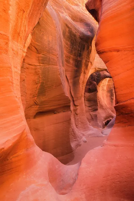 Framed Print : Slot canyon at Dry Fork Coyote Gulch in Grand Staircase-Escalante National Monument, Utah, USA Framed Print : Slot canyon at Dry Fork Coyote Gulch in Grand Staircase-Escalante National Monument, Utah, USA